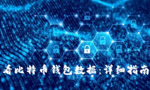 如何查看比特币钱包数据：详细指南与分析