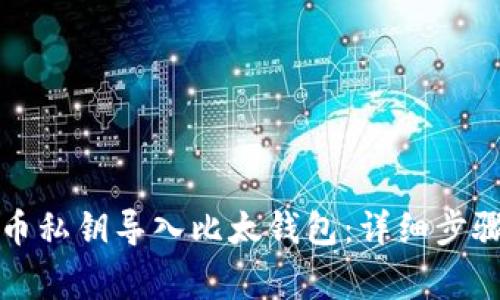 如何将比特币私钥导入比太钱包：详细步骤与注意事项