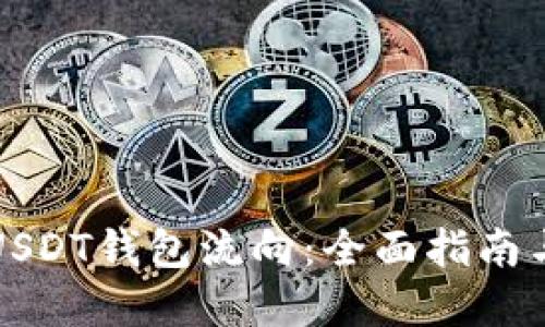 如何查看USDT钱包流向：全面指南与实用技巧