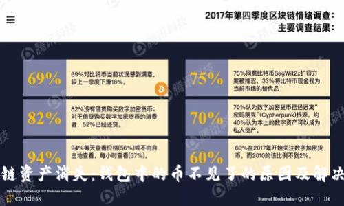 区块链资产消失：钱包中的币不见了的原因及解决方案