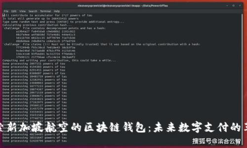 探索新加坡航空的区块链钱包：未来数字支付的革命