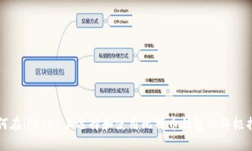 如何在iPhone上选择和使用比特币钱包的终极指南