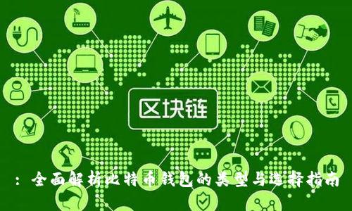 : 全面解析比特币钱包的类型与选择指南