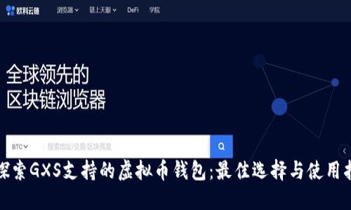 : 探索GXS支持的虚拟币钱包：最佳选择与使用指导