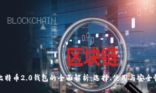 比特币2.0钱包的全面解析：选择、使用与安全性