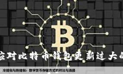 如何应对比特币钱包更新过大的问题