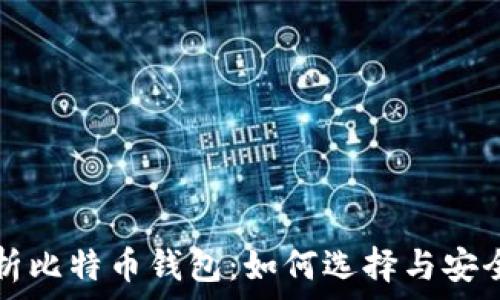 全面解析比特币钱包:如何选择与安全性指南