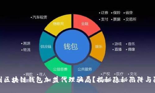 如何识别区块链钱包加盟代理骗局？揭秘隐秘陷阱与防范措施