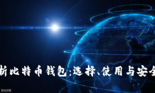 全面解析比特币钱包：选择、使用与安全性指南