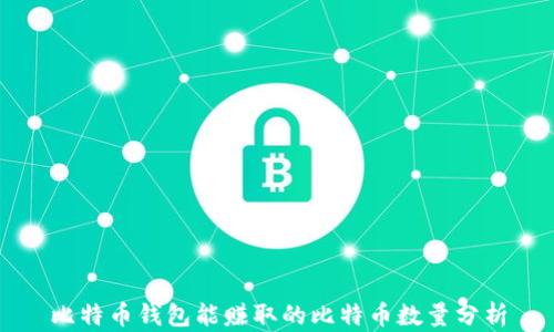 
比特币钱包能赚取的比特币数量分析