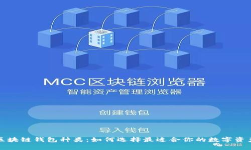 全面解析区块链钱包种类：如何选择最适合你的数字资产存储方案