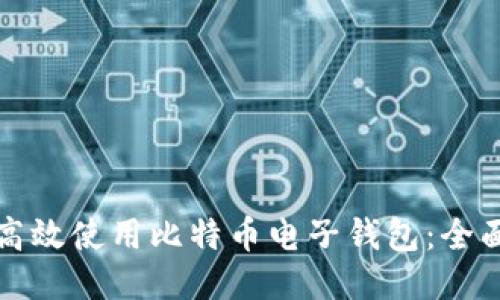 如何高效使用比特币电子钱包：全面指南