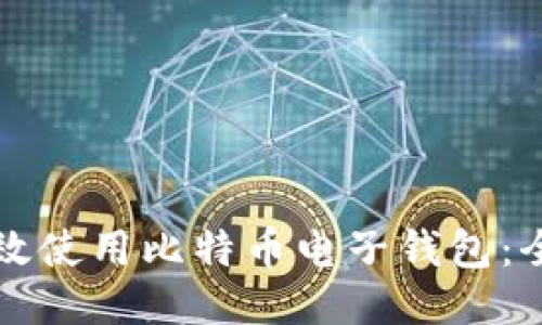 如何高效使用比特币电子钱包：全面指南