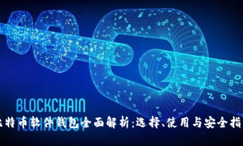 比特币软件钱包全面解析：选择、使用与安全指南