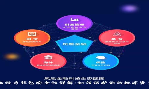 比特币钱包安全性详解：如何保护你的数字资产