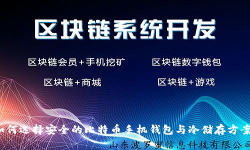 如何选择安全的比特币手机钱包与冷储存方案?