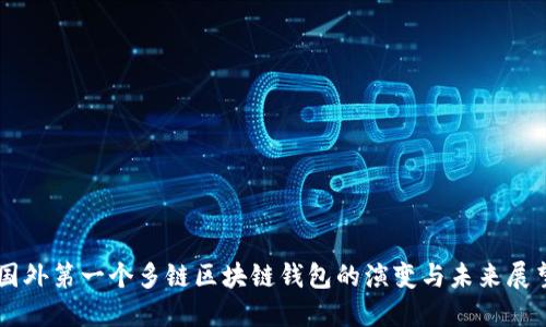 国外第一个多链区块链钱包的演变与未来展望