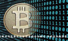 比特币钱包原文件分享与安全性探讨：保护您的