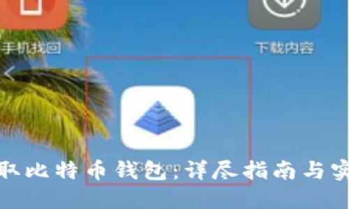 如何获取比特币钱包：详尽指南与实用建议