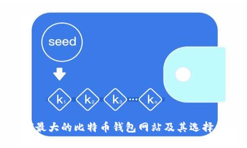 全球最大的比特币钱包网站及其选择指南