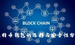 比特币钱包的选择与安全性分析