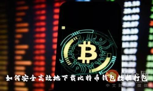 如何安全高效地下载比特币钱包数据打包