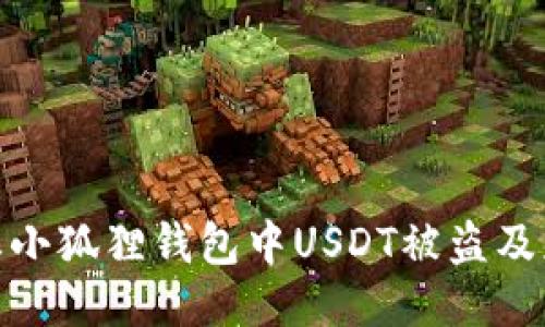 如何防止小狐狸钱包中USDT被盗及应对措施