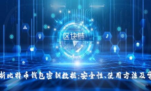 深入解析比特币钱包密钥数据：安全性、使用方法及常见问题