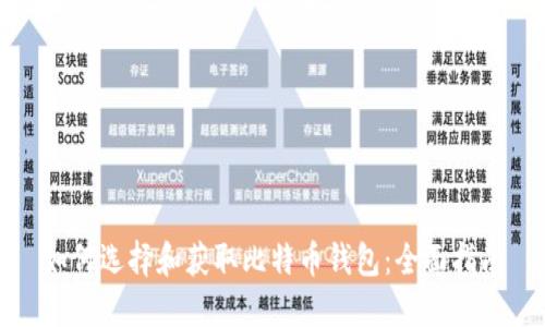 如何选择和获取比特币钱包：全面指南