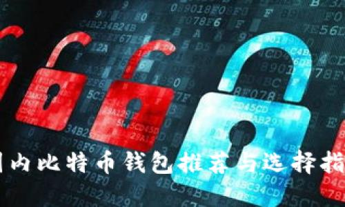 国内比特币钱包推荐与选择指南