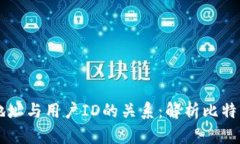 比特币钱包地址与用户ID的关系：解析比特币钱包