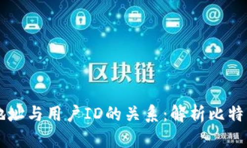 比特币钱包地址与用户ID的关系：解析比特币钱包的本质