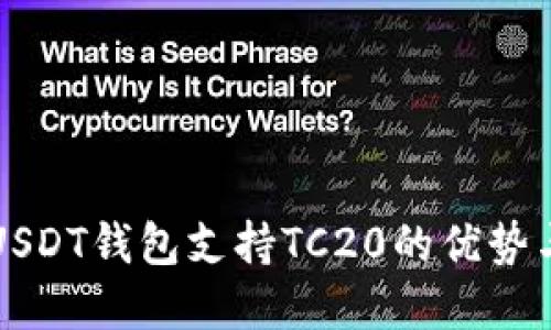 全面解读USDT钱包支持TC20的优势与使用指南