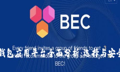 区块链钱包应用平台全面分析：选择与安全性指南