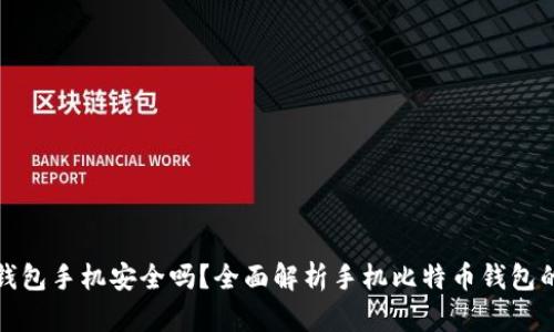 比特币钱包手机安全吗？全面解析手机比特币钱包的安全性