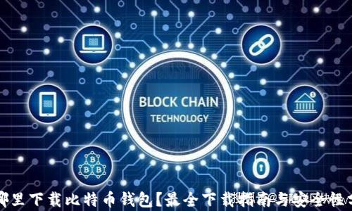 
在哪里下载比特币钱包？最全下载指南与安全性分析