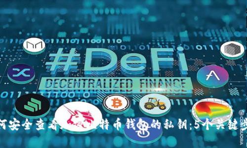 如何安全查看加密比特币钱包的私钥：5个关键步骤