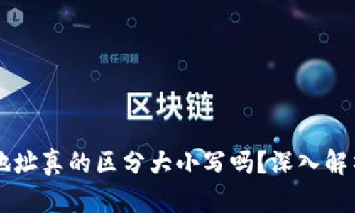 区块链钱包地址真的区分大小写吗？深入解析与实例分析