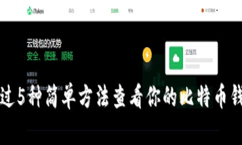 如何通过5种简单方法查看你的比特币钱包数量